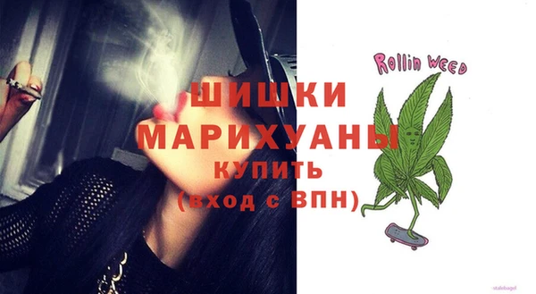 хмурый Видное