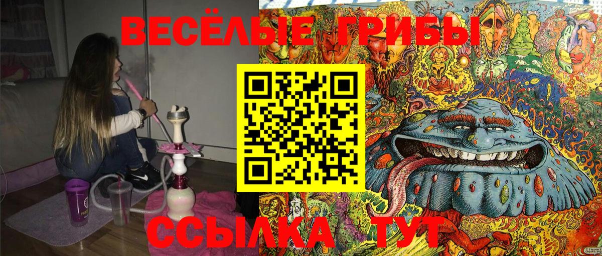 Рассказово  Псилоцибиновые грибы GOLDEN TEACHER  Вход с VPN 